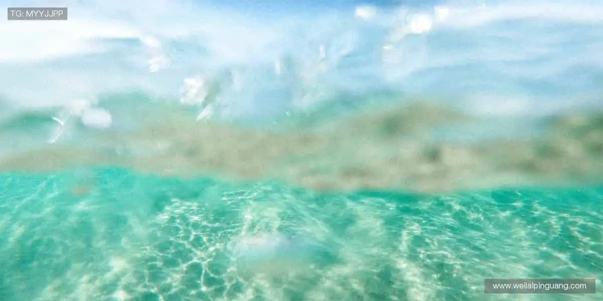 🎮电竞周边集结,释放指尖的力量!